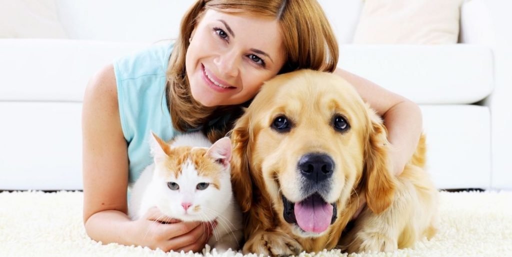 ultrasound for dogs and cats in Abu Dhabi
